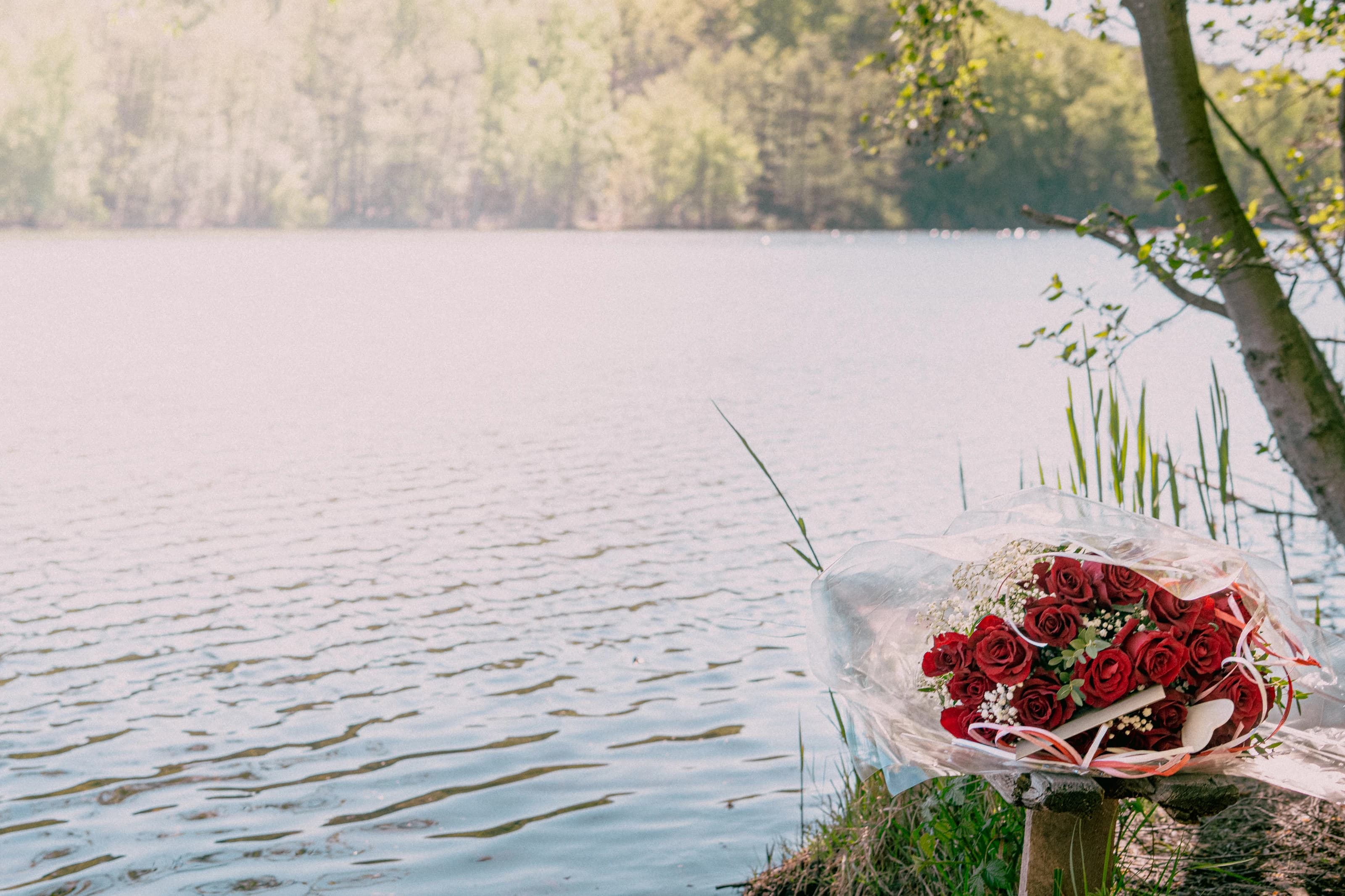 The Proposal Collection - image 2